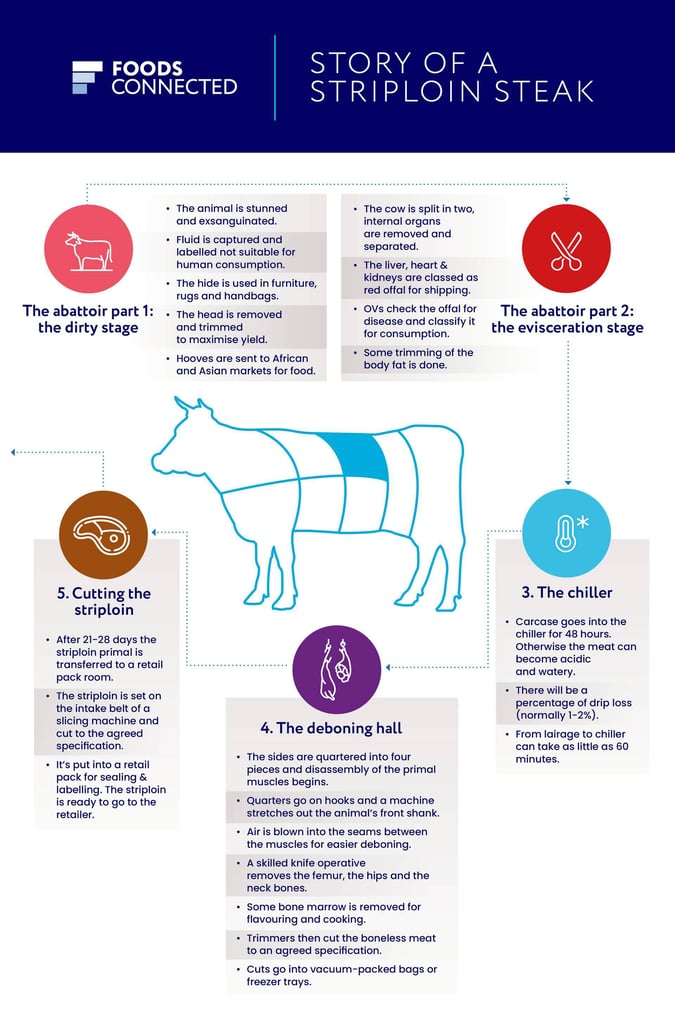 Story of a Striploin Infographic -final