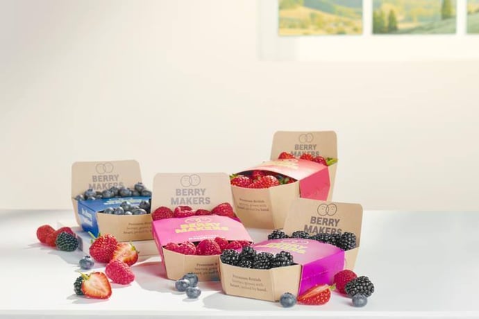 npd_summer_2024_berrymakers_berries