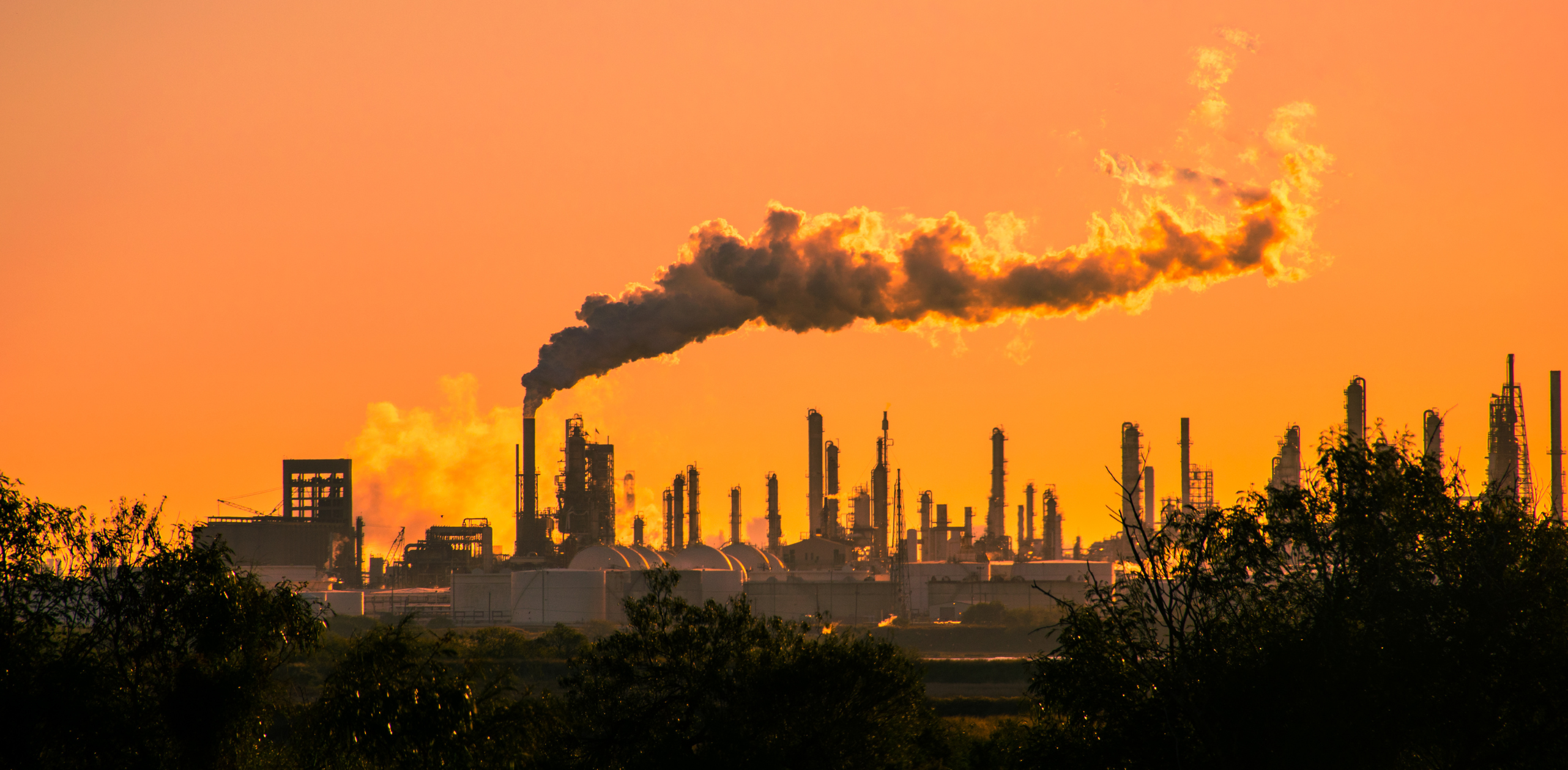 Ambition 2030: FDF guidance on sustainability in food manufacturing