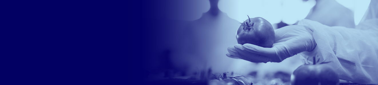 Supply chain resilience: getting food safe & data secure