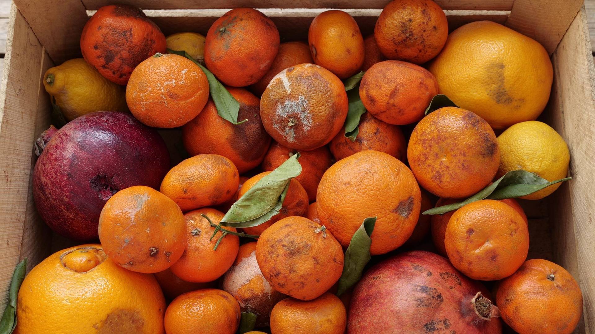 Data & disposal: how to reduce waste in the food supply chain