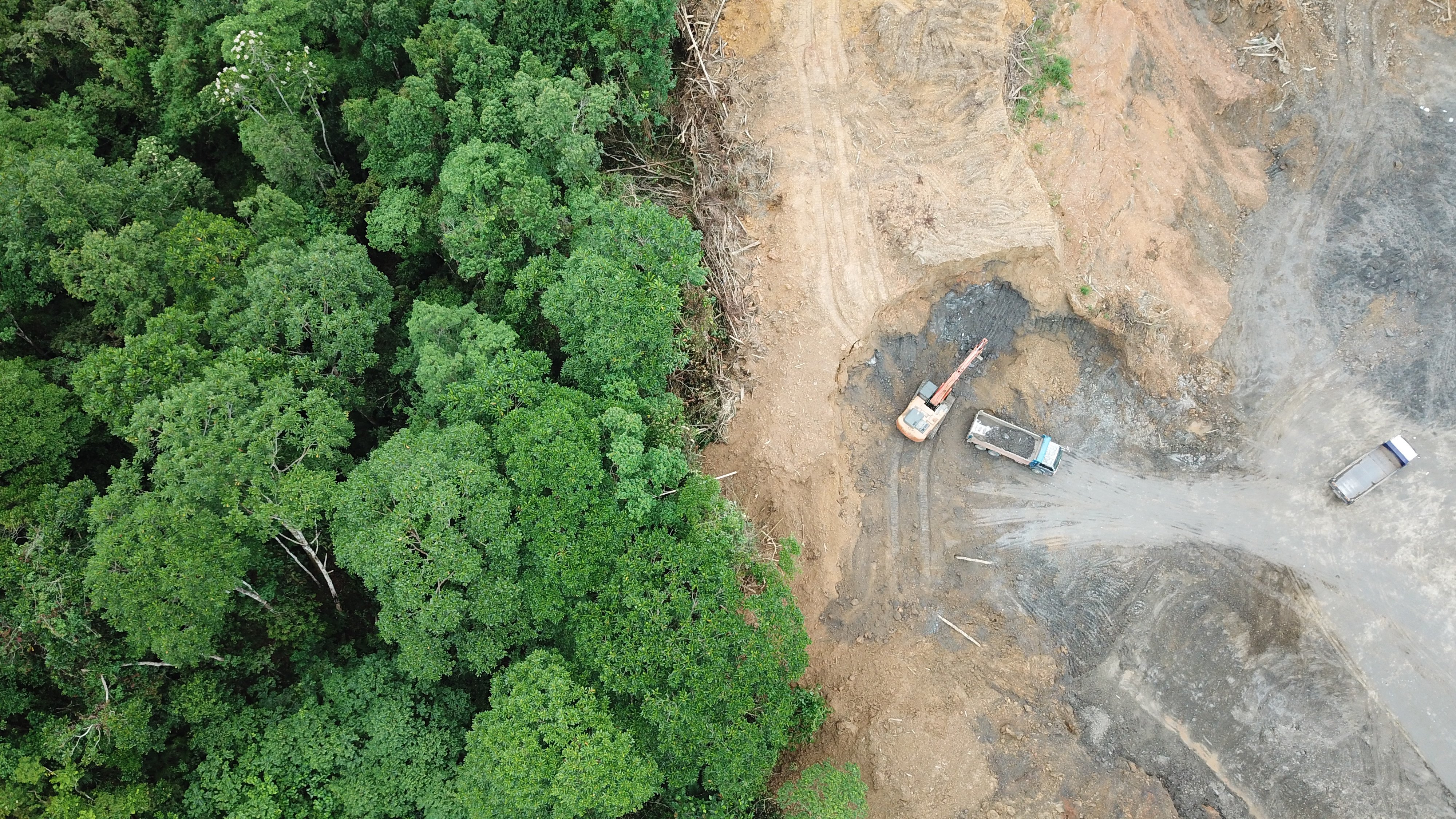 Preparing for the EU Deforestation Regulation (EUDR): everything you need to know