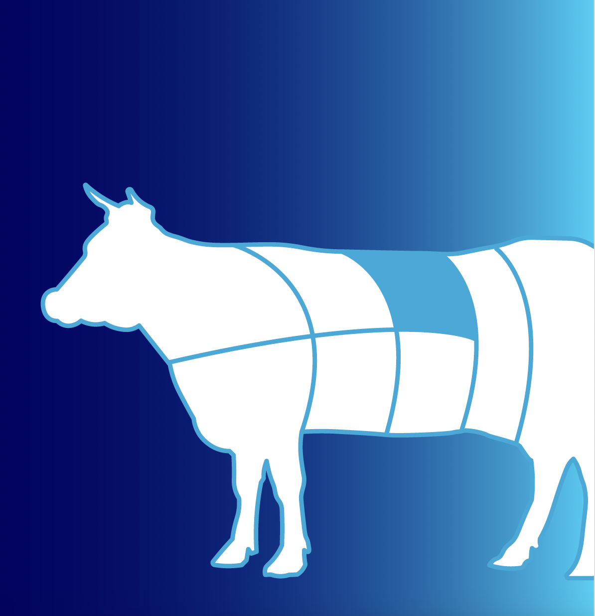 [Infographic] Story of a striploin: the journey to retail