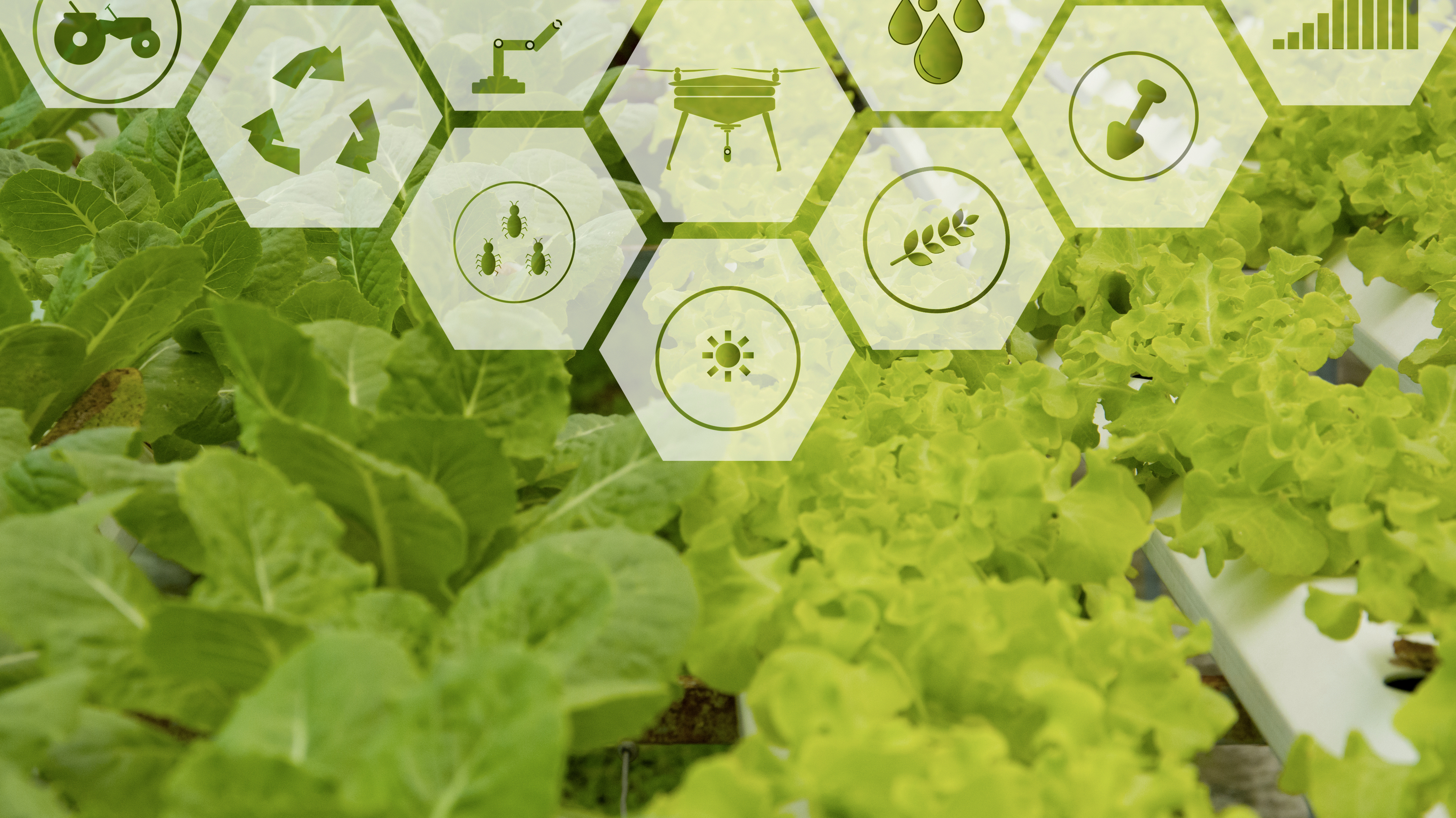 Supply chain visibility: what is it and why is it important?
