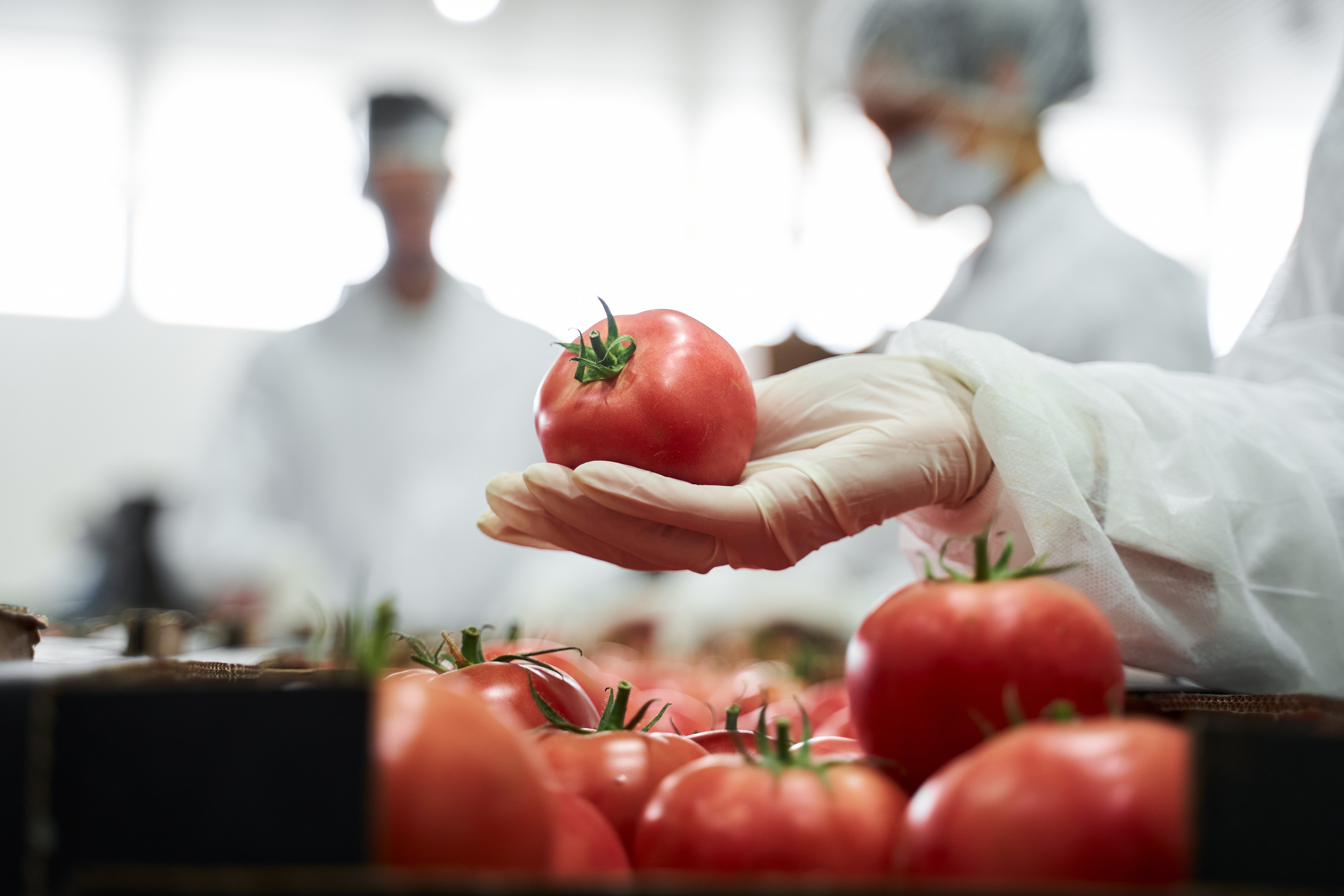 Understanding the importance of quality control in the food industry