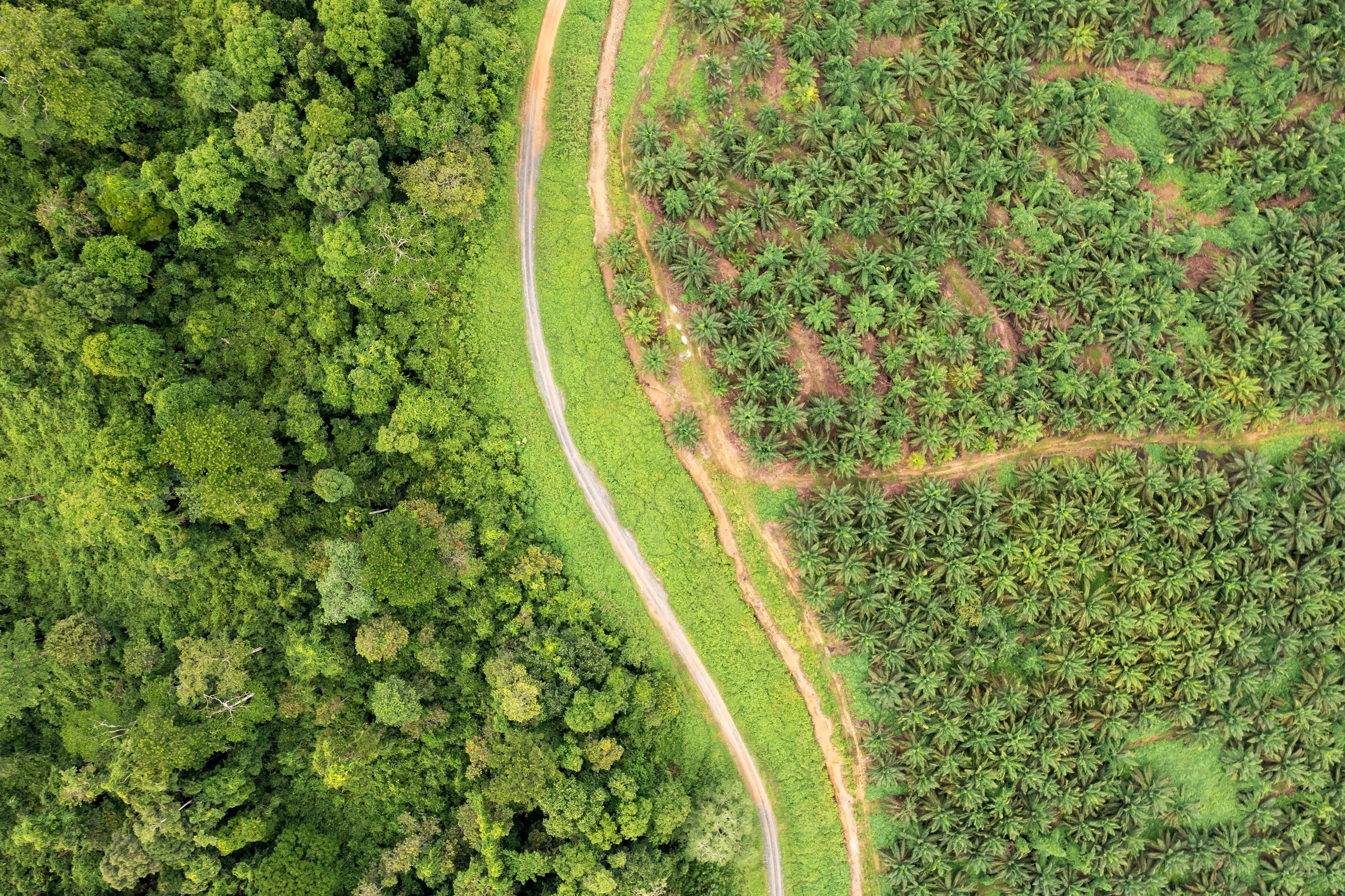 [Infographic] Your road to regulatory compliance