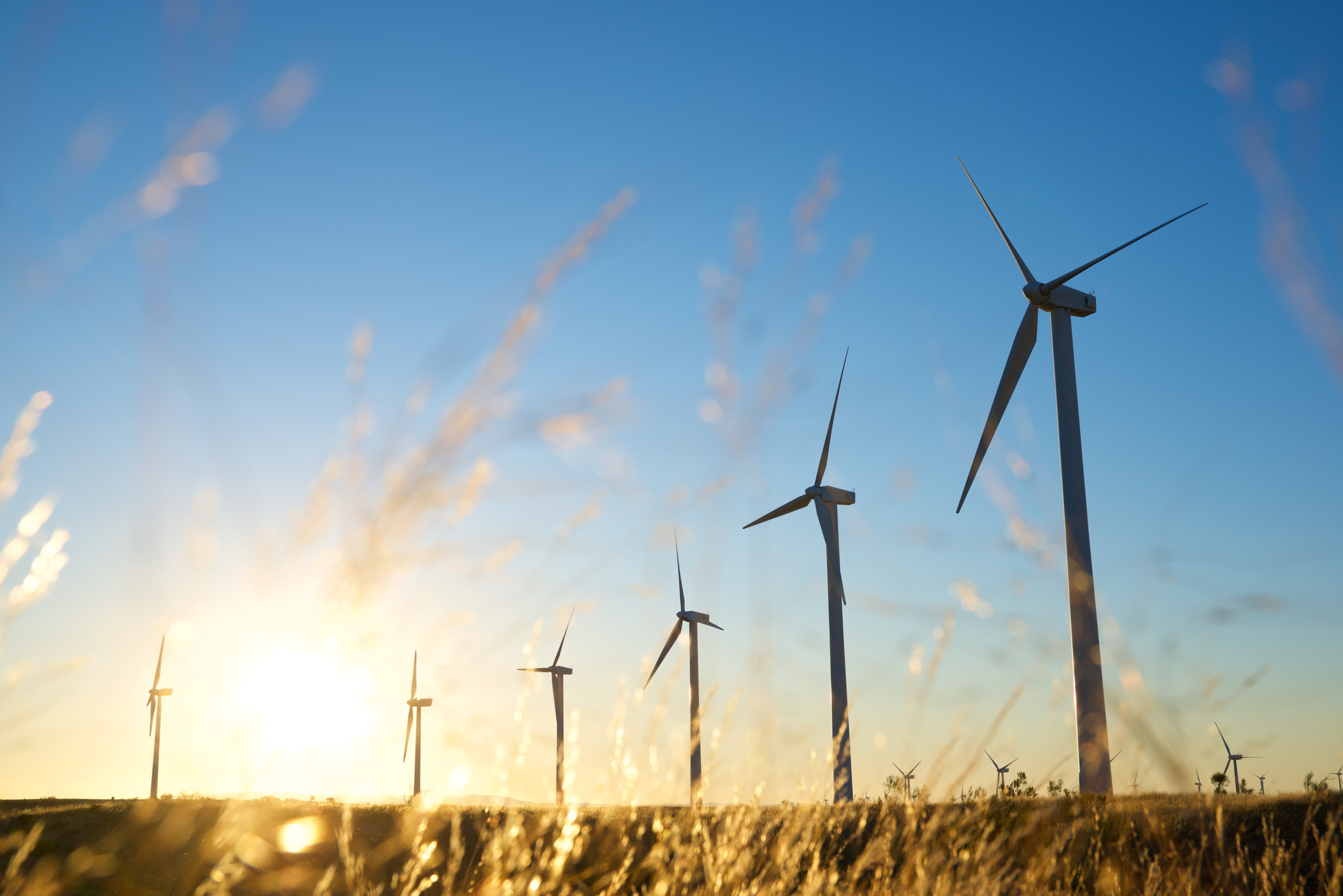 ESG: 3 Ways ESG Requirements Will Affect Your Food Business and Brands