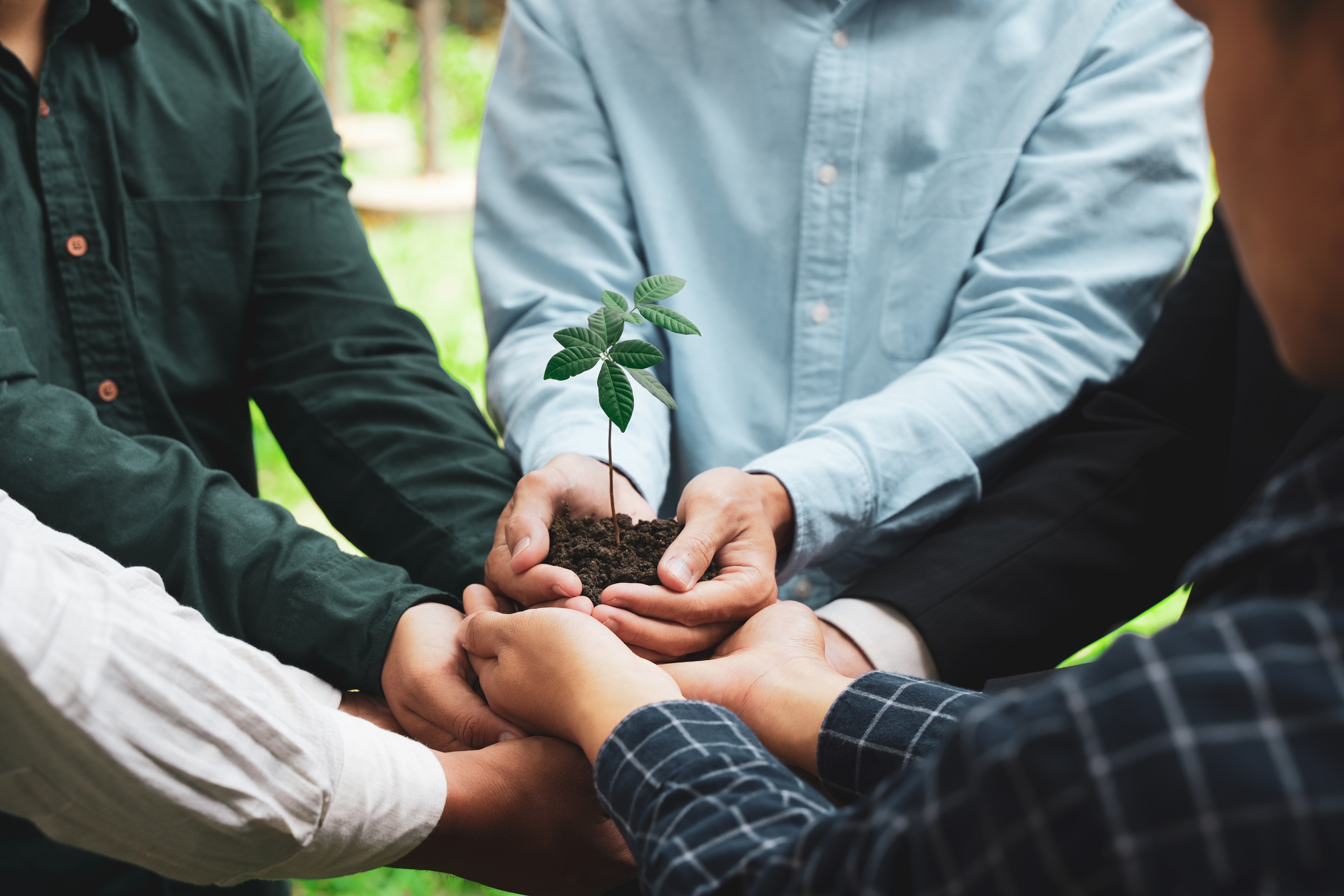 The Corporate Sustainability Due Diligence Directive (CSDDD): what it is and how to prepare for it