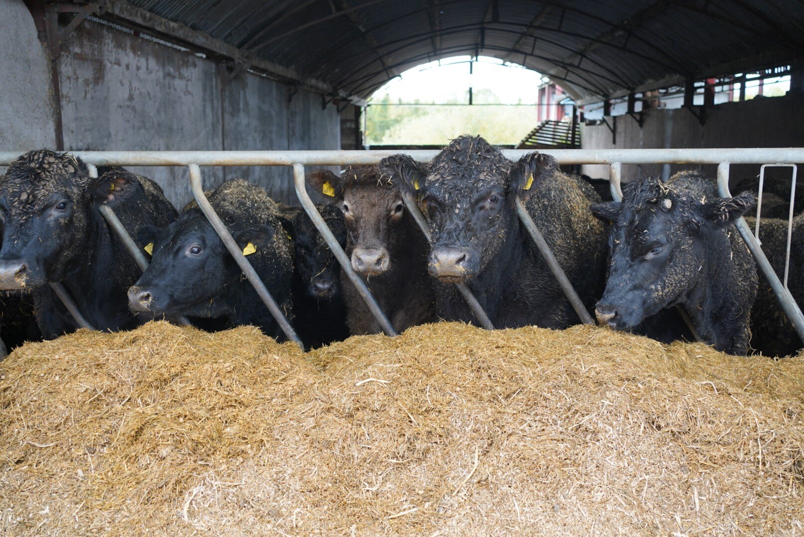 Meet the team with Sarah Bradley