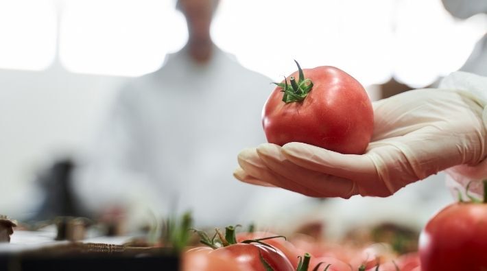 Supply chain resilience: getting food safe & data secure