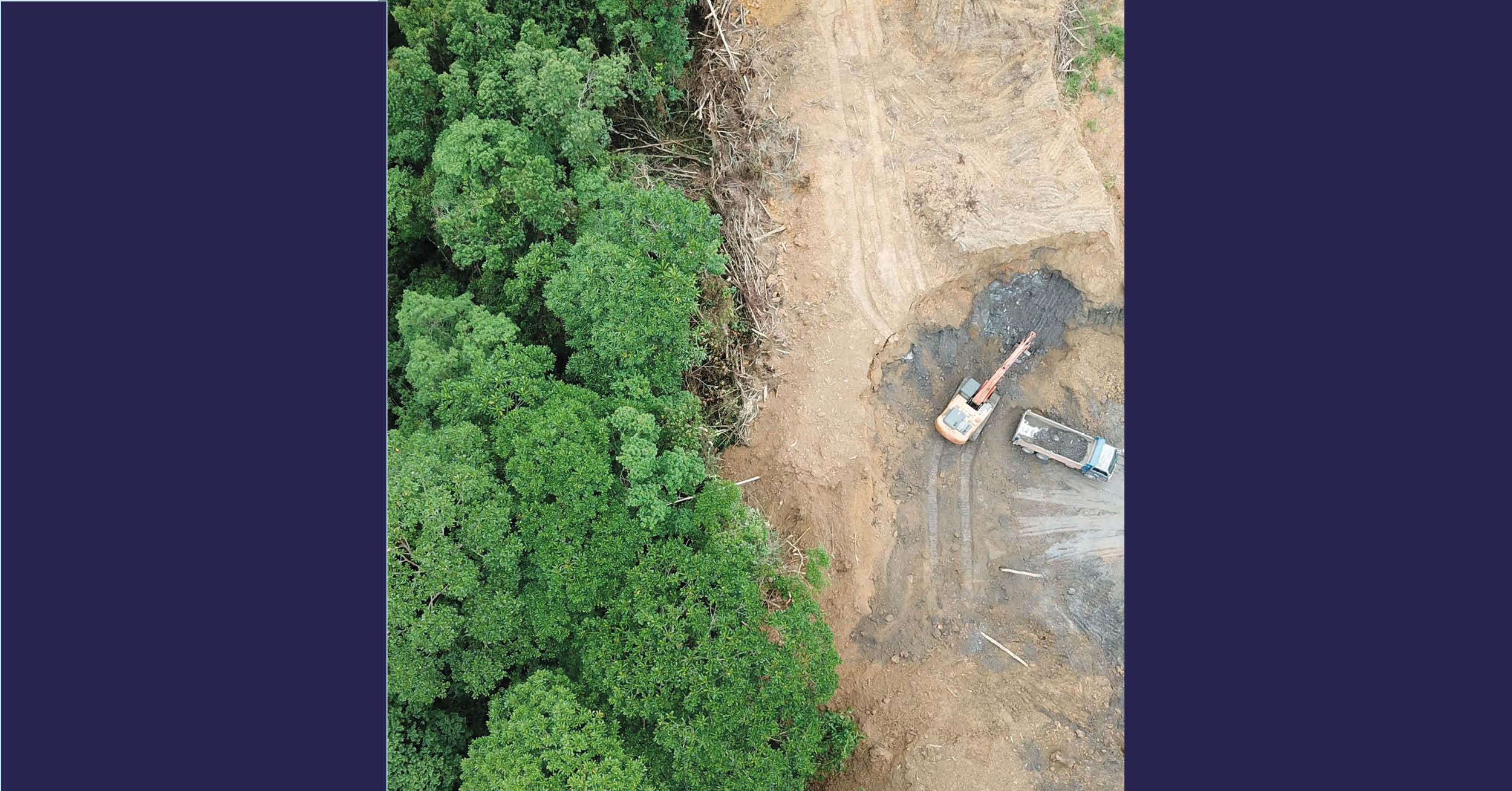 Deforestation_Blog header