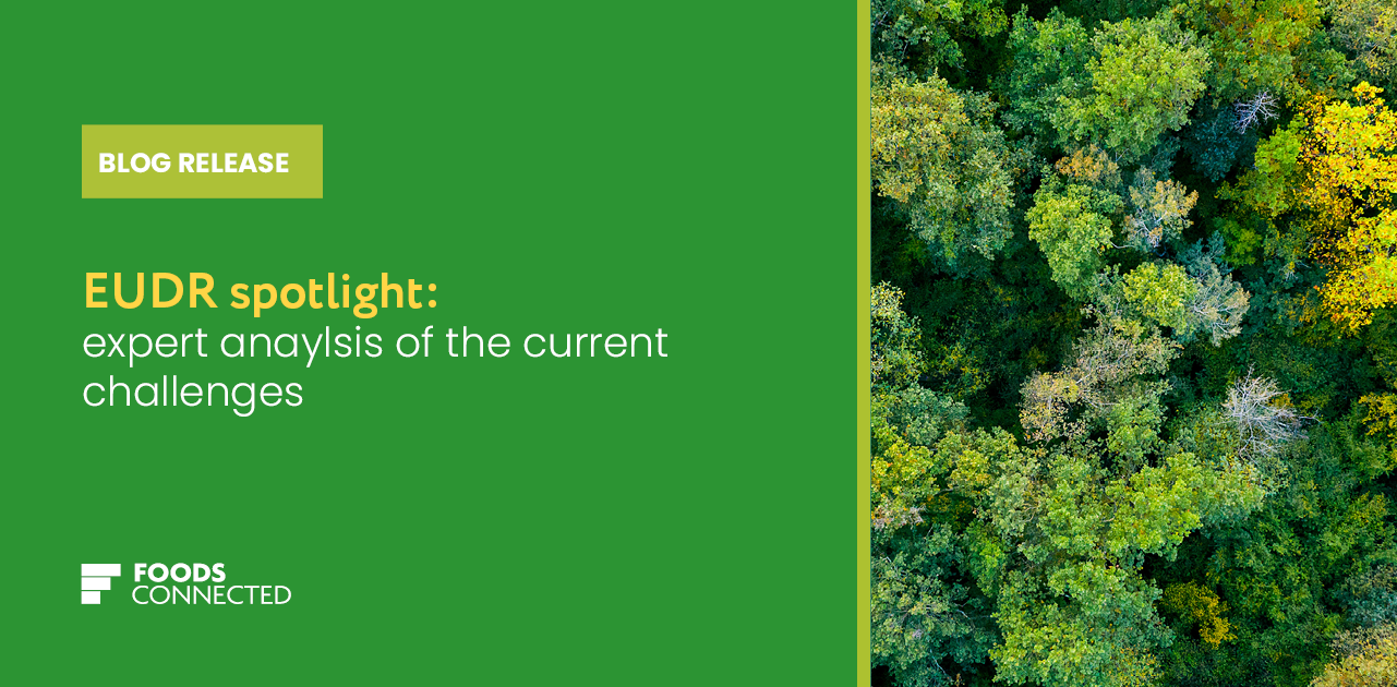 EUDR spotlight: expert analysis on the current challenges