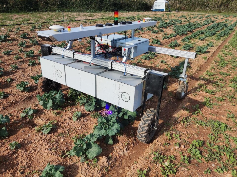 4 food safety technology trends shaping the future of the industry