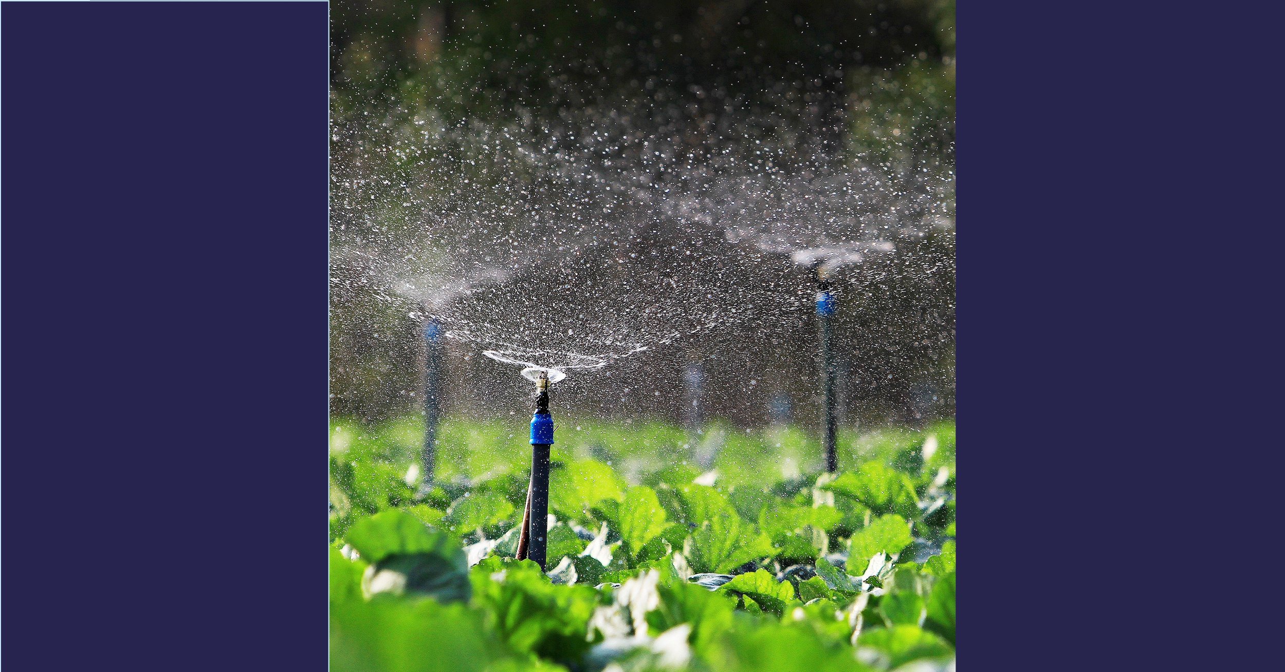 Fsma final Rule Pre-Harvest Agricultural Water blog header