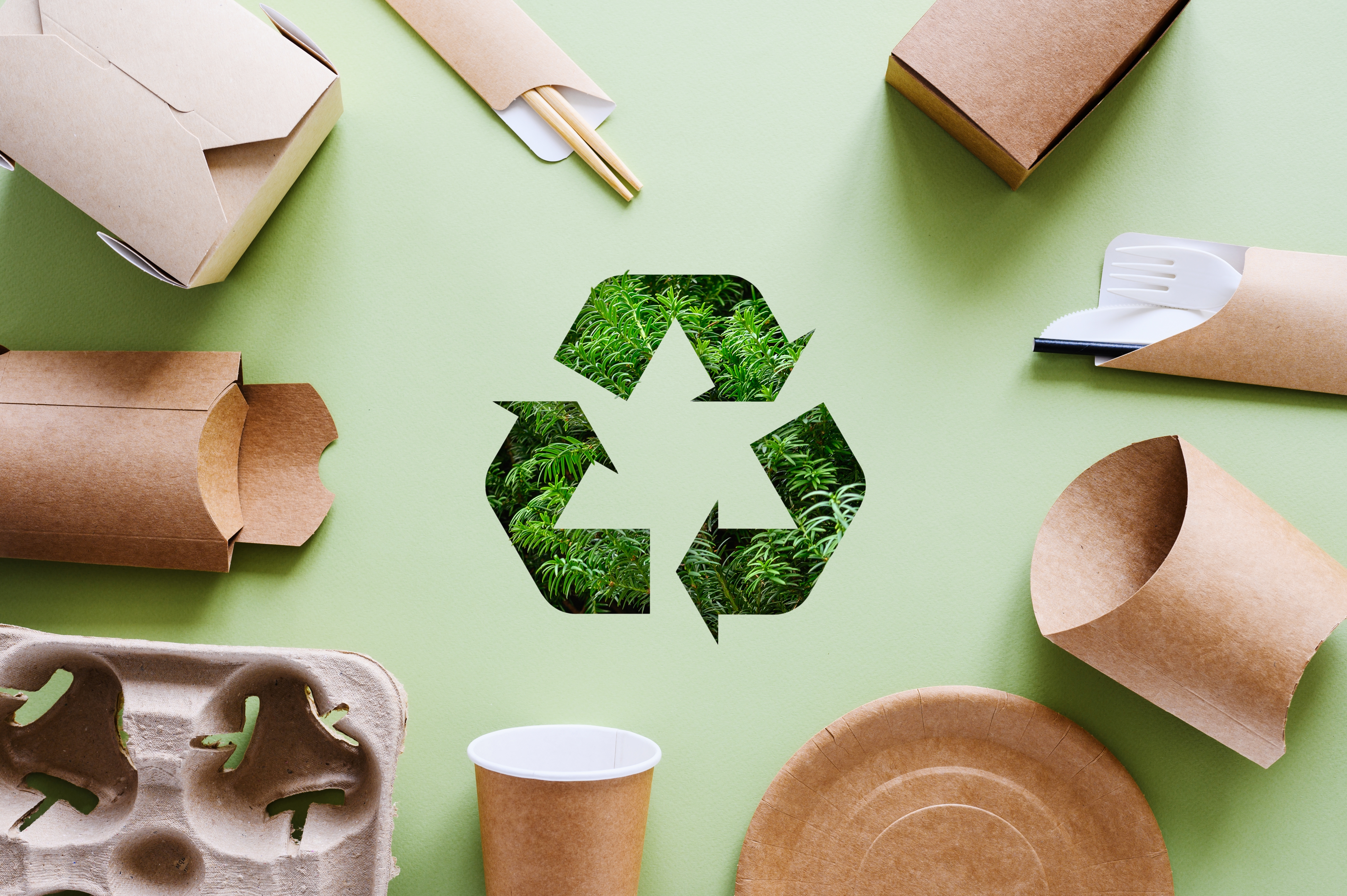 Preparing for PPWR: 5 things food and drink businesses should be doing now