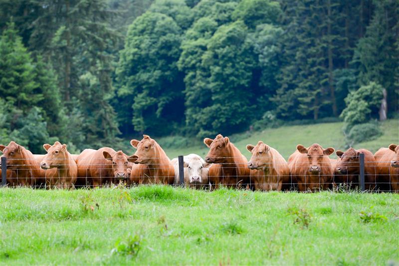 Farm Data Safe: committing to the highest standards of data governance